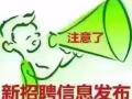 2月9日當天  最新餐飲類訂     微信 006584508359