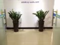中-新专线，联系电话8613711077030