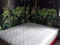 淡滨尼34街   地铁站 。单间出租