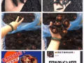 西班牙进口海参。原产地工厂原装货源，原生态野生无污染深海海参