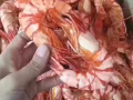 批發零售國內海鮮乾貨