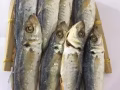 批發零售國內海鮮乾貨