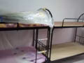 主人房女搭房,隋时入住,可报地址, 厕所刚翻新