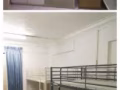 宏茂桥大牌608靠近杨厝岗地铁站，有男女搭房出租，人少安静。