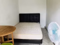 淡滨尼11街有普通房，隔间$550，可报地址，电(8208-0208)