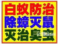 专业团对机器杀臭虫！蟑螂！白蚁！蚂蚁！老鼠，蚊蝇杀绝后付款！！全岛价格最低！ 