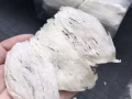 誠召新中燕窩代理，直郵中國，質量保證！詳情請加微信006590089733
