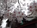^o^)/YES！空调服务98964831 我们以诚信  负责  专业为本  