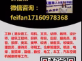 辦理新加坡工作 價格合理 微信諮詢：feifan17160978368