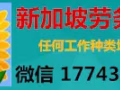 QQ 每天海量司機單子及時更新匯總  微信17743446190