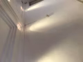 多年专业粉刷室内油漆！五年新加坡油漆经验！排屋！组屋！公寓！洋房！处理油漆各种问