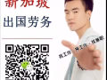 专业办理新加坡工作，您想要的工作我都有，快来咨询 微信464900307