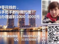 新加坡 找工作换工作 诚信 专业 靠谱 微信：13844054326悦悦