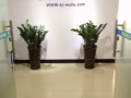 海空运白菜价，中-新专线（双清门到门）380RMB/立方，13711077030