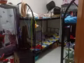 義順大牌235.男生床位出租，可申報HDB地址。