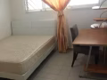 Tampines BLK437普通房出租(女性)
