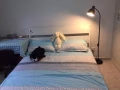 BLK301D近盛港地铁站和万国地铁站普通房出租