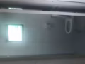 主人房女床位出租