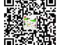 專業淘寶集運至新加坡海運雙清送貨上門拼團服務 