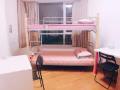 高文kovan melody酒店式高級公寓超溫馨普通房，主人房出租