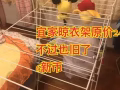 兀兰nus二手架子烧水壶椅子镜子衣架体重秤路由器台灯等出售