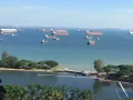 东海岸马林百列大牌29有男床位出租