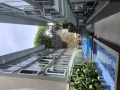 靠近武吉士，多美歌高級公寓普通房短租