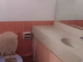 文禮地鐵站附近主人房出租