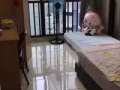海军部684普通房高楼近地铁