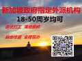 新加坡各种高薪工作 稳定 只做老雇主项目 微信442849010