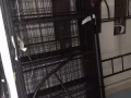 自用處理