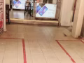 黃格出租 紅線 大巴窯地鐵一出來就是 人潮很旺   大巴窯中心 Toa payo