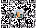 名片，傳單，貼紙，畫冊，手提袋，說明書印刷，全島最低價，名片500張僅需$25！