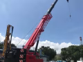 招：crawler crane operator（履带式起重机操作员）收茶水钱！