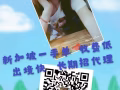 找工作換工作看這裡 海量單子等你來選 有意者加V18844755789