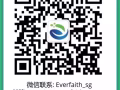新加坡秘書公司的指責