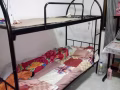 马林百列一个女孩床位出租 无屋主 9748 7070