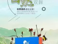 純中藥護眼眼罩