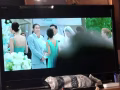 电视机、座椅、后背按摩器出售