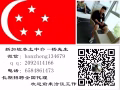 辦理速度快費用低辦理不成功不收取任何費用，微信：banzheng134679