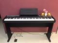 初学者的福音！9.99新电钢琴便宜出售