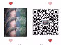 新加坡工作不懂的问我 微信；zj05124757