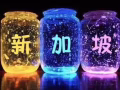 新加坡本地中介，專業辦理，費用低，辦理不成功不收費 ，微信2727966526