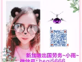 新加坡今日更新幫廚單子單子出境快費用低請加微信hsgj5666