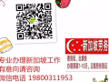 大量新加坡一手工作单 欢迎微信电话19800311953前来咨询