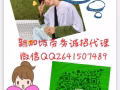清洁新单快单 价位合理 年前选人，年后入境 微信2641507489
