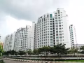 海军部白色公寓有房整套出租（无中介费）