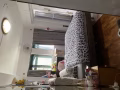 文庆地铁站C出口有大主人房出租