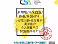 新加坡+馬來西亞+香港+BVI註冊公司+視頻開戶 (多種貨幣無限額/高效率) 