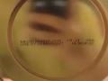 美贊臣奶粉 0-12月的